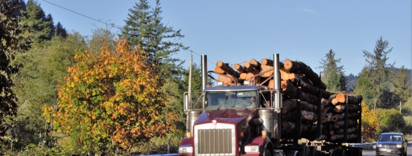 Log Truck Insurance South Carolina